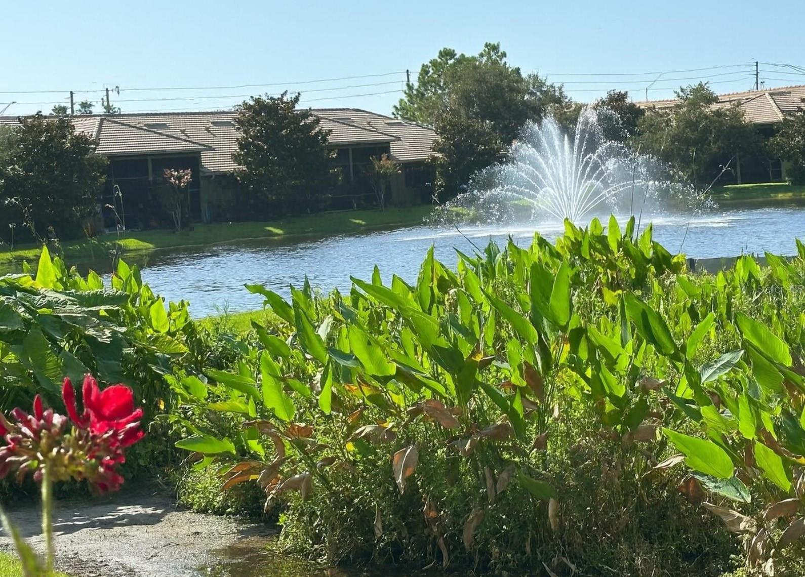 Image 2 of 33 For 2567 Gloriosa Drive