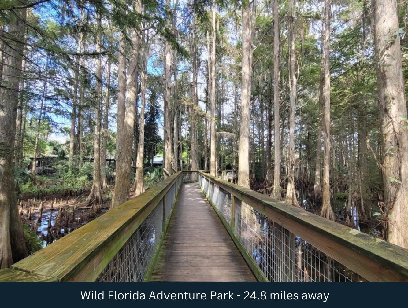 Image 18 of 42 For 1099 Canoe Creek Road