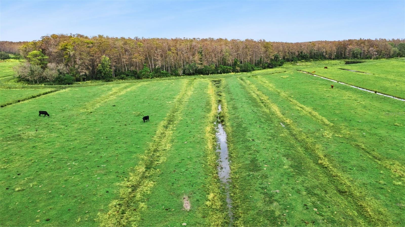 Image 9 of 42 For 1099 Canoe Creek Road