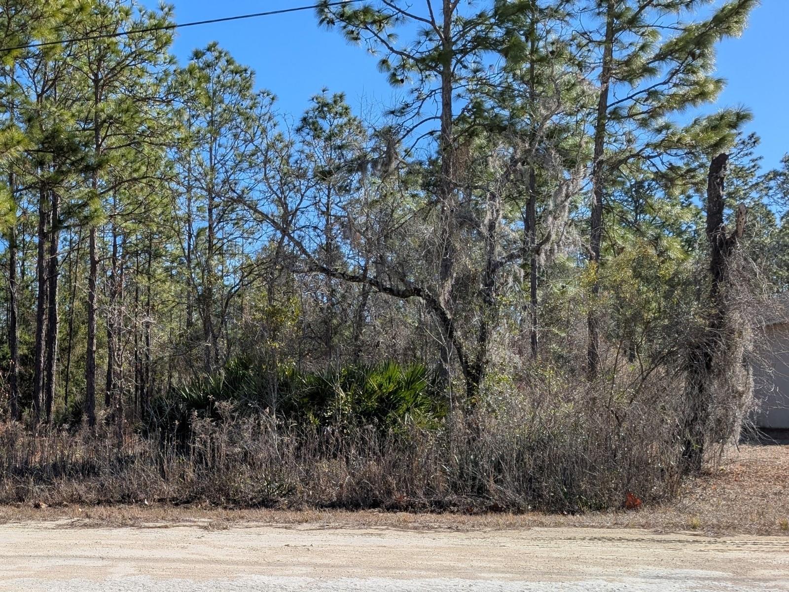 Image 2 of 6 For 15252 Coot Road