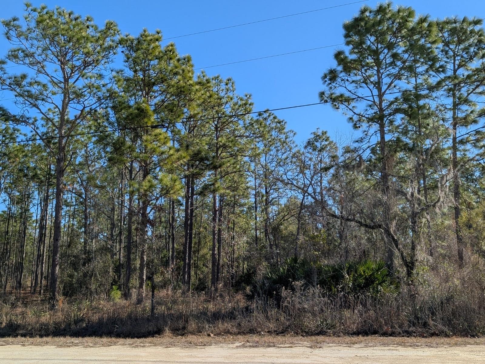 Image 4 of 6 For 15252 Coot Road