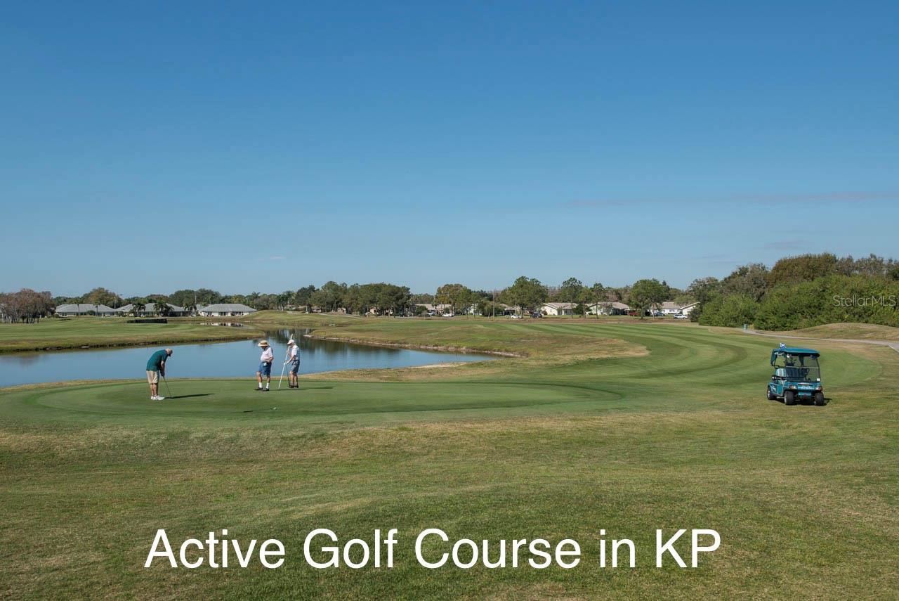 Image 70 of 98 For 2019 Acadia Greens Drive 34