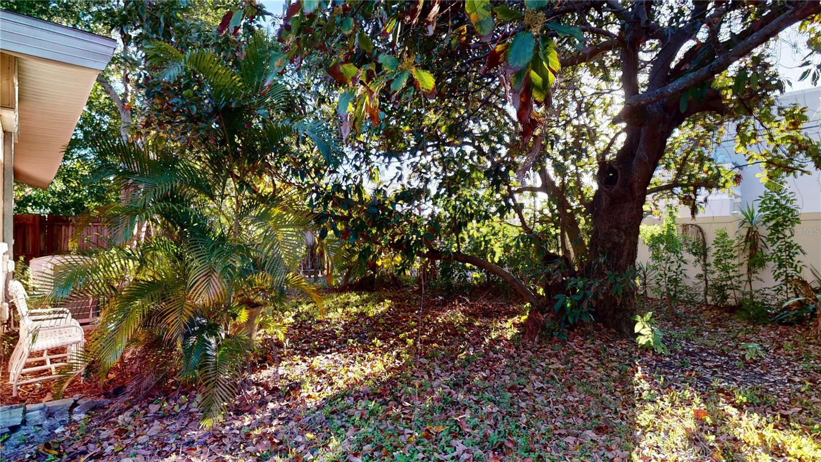 Image 43 of 48 For 1546 Belleair Road