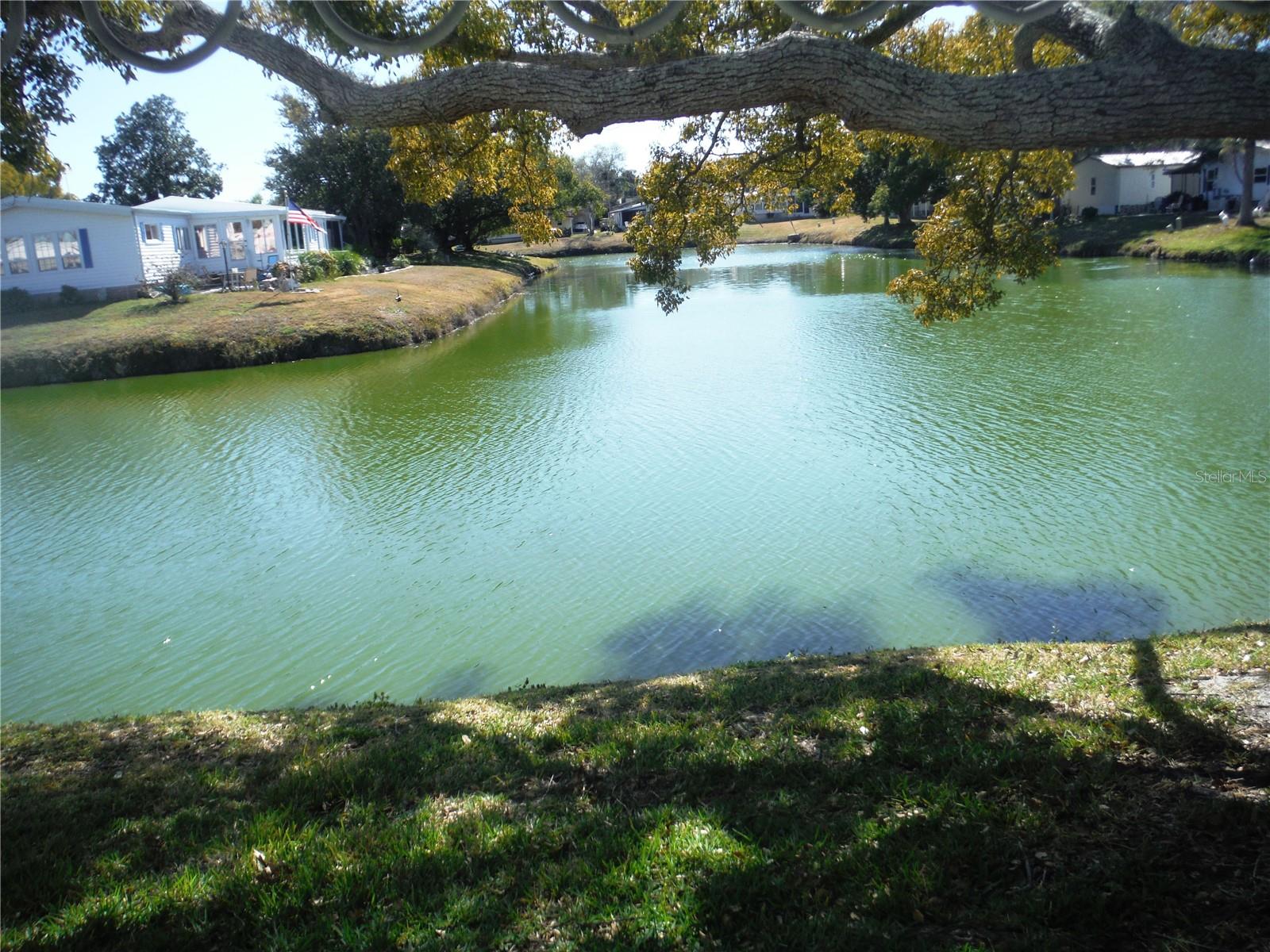 Details for 172 Clubview Drive 5, SAFETY HARBOR, FL 34695