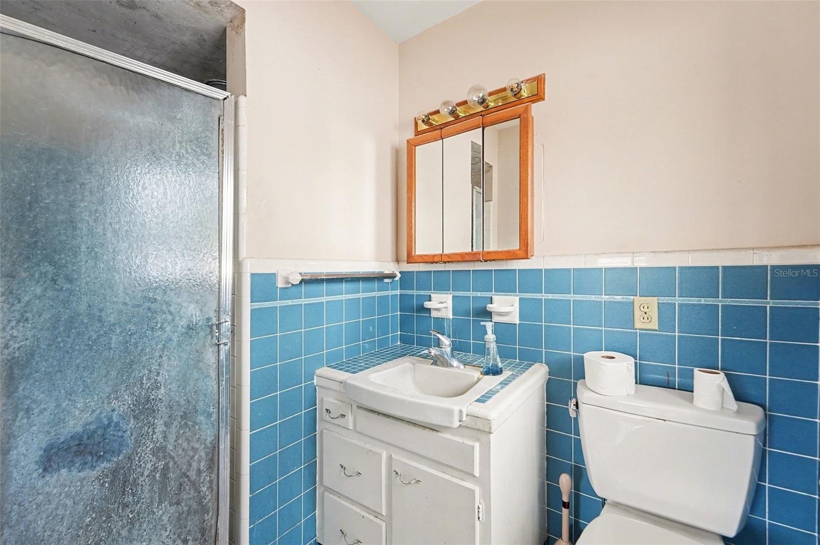 Image 15 of 30 For 213 Park Street N