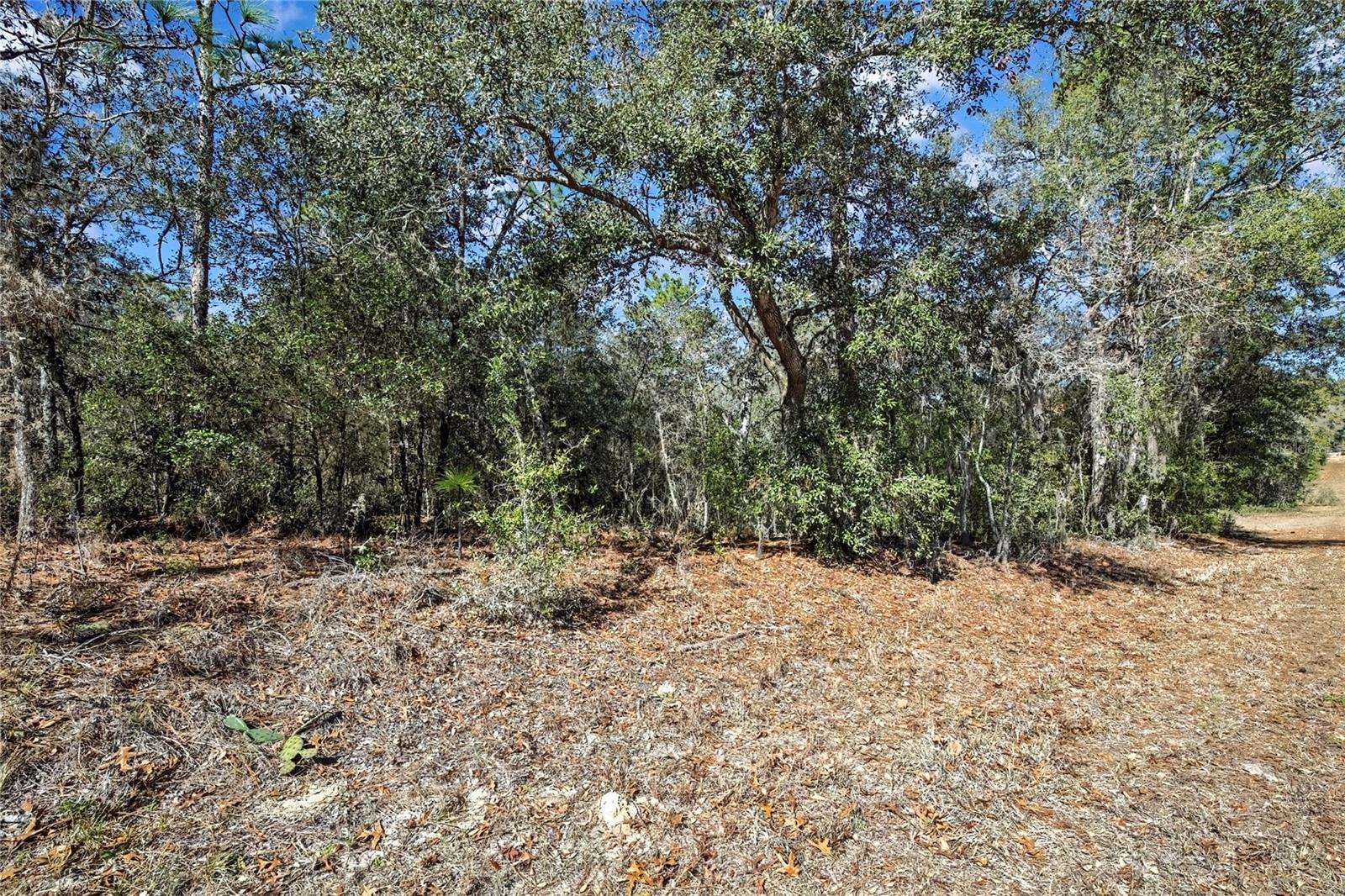 Image 5 of 9 For 3292 Annapolis Avenue