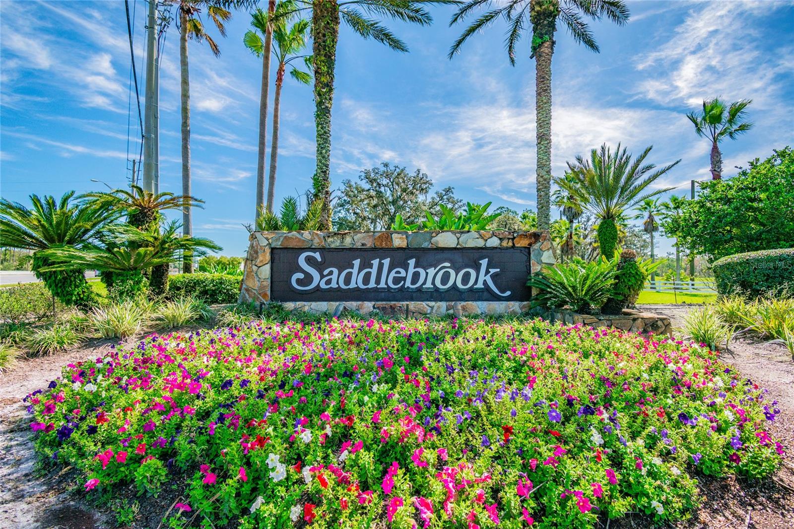 Image 3 of 40 For 29244 Whipporwill Lane