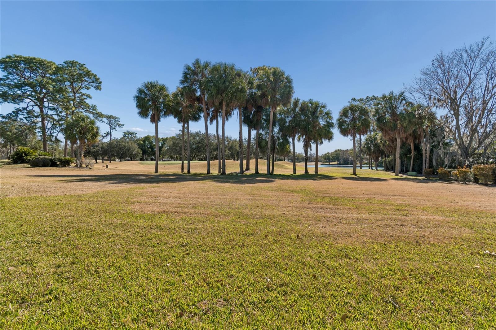 Image 38 of 40 For 29244 Whipporwill Lane