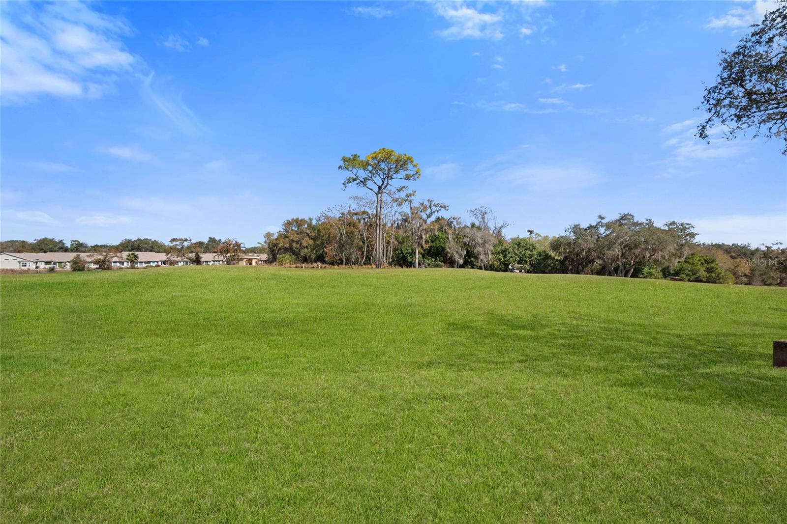 Image 30 of 49 For 3519 Links Court