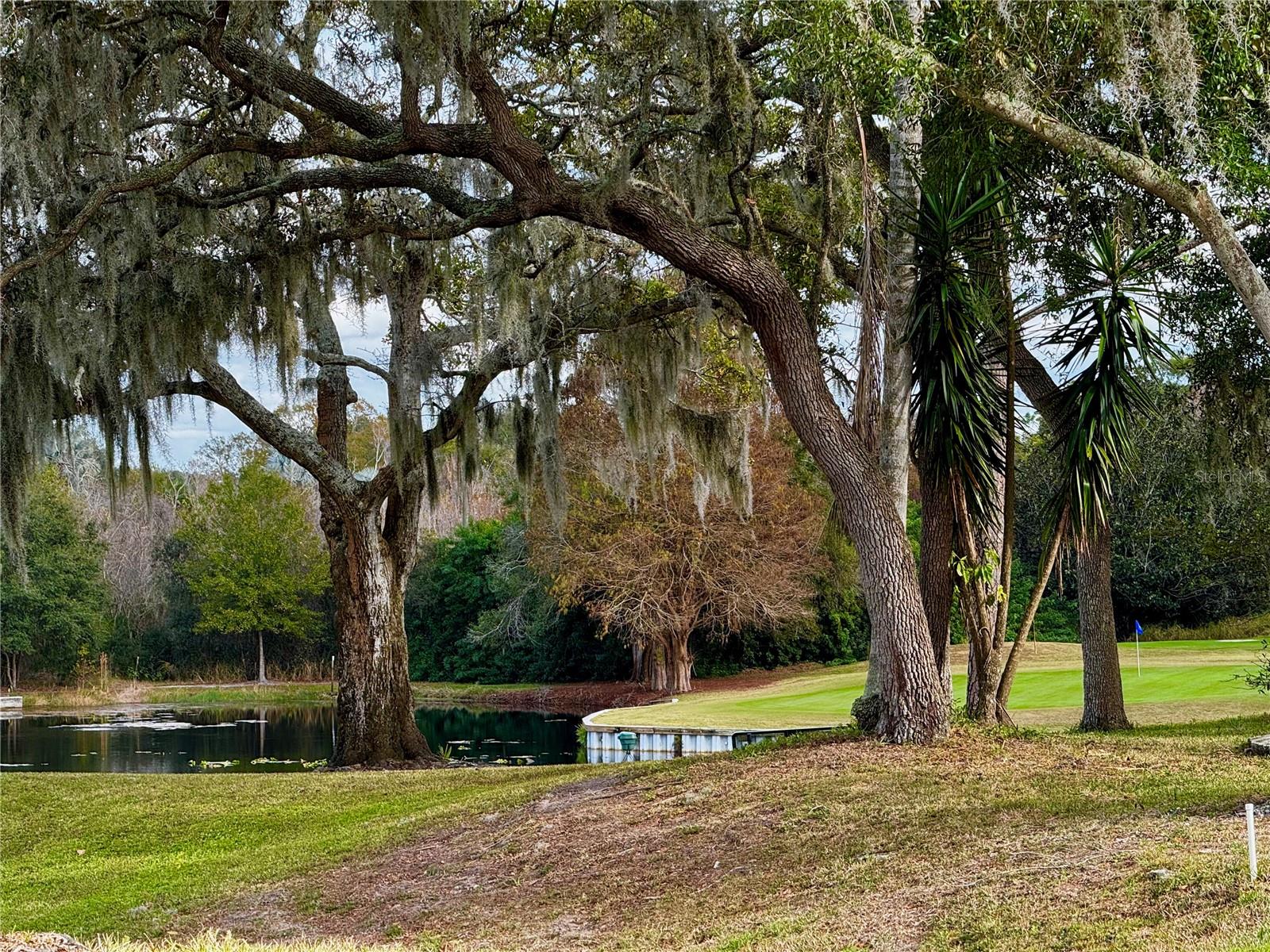 Image 31 of 49 For 3519 Links Court