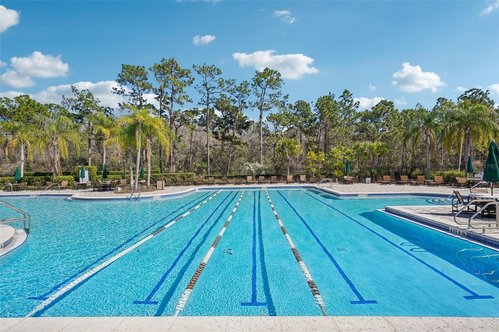 Image 50 of 53 For 9609 Royal Fern Court