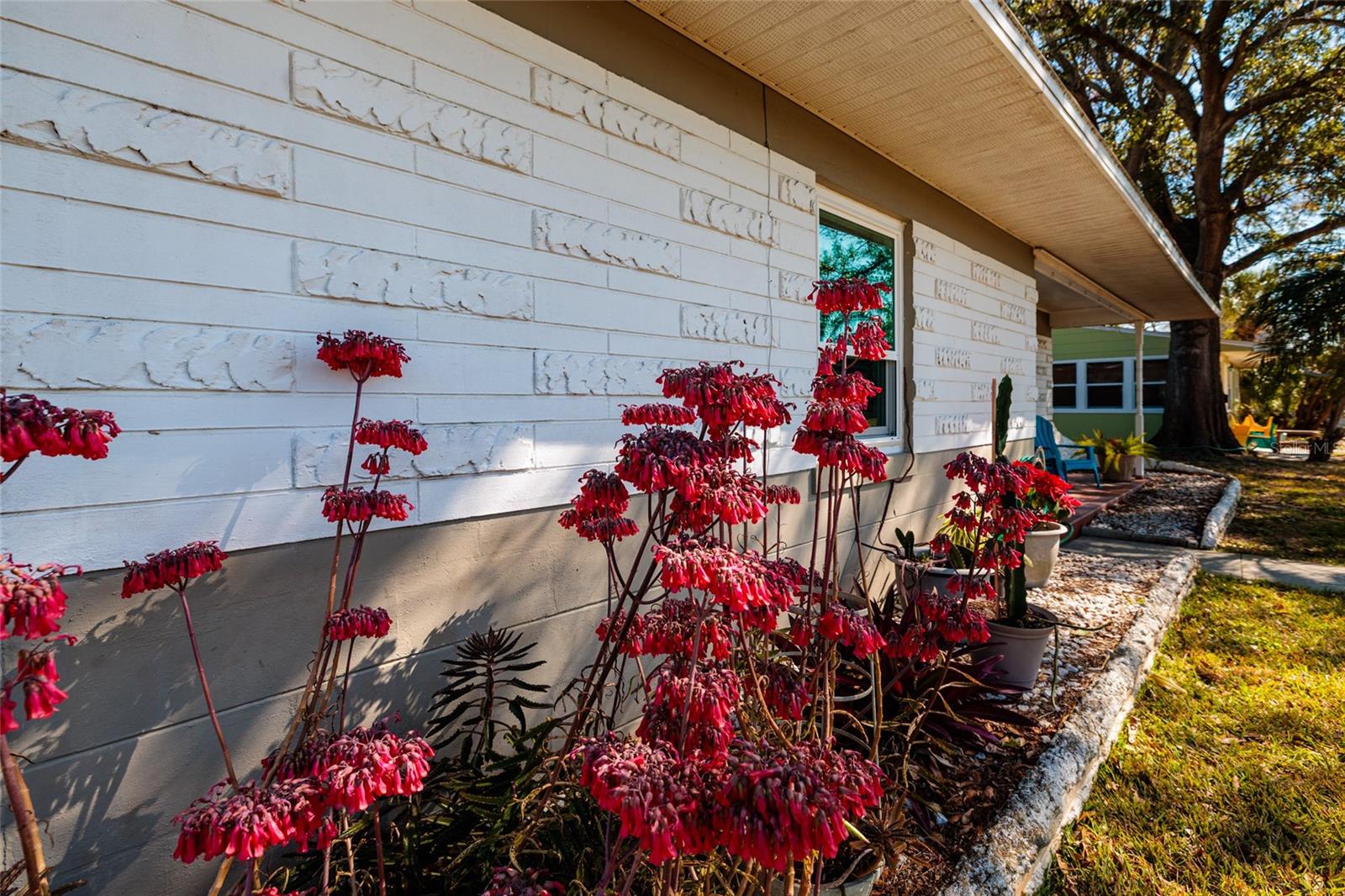 Image 6 of 52 For 7201 Grevilla Avenue S