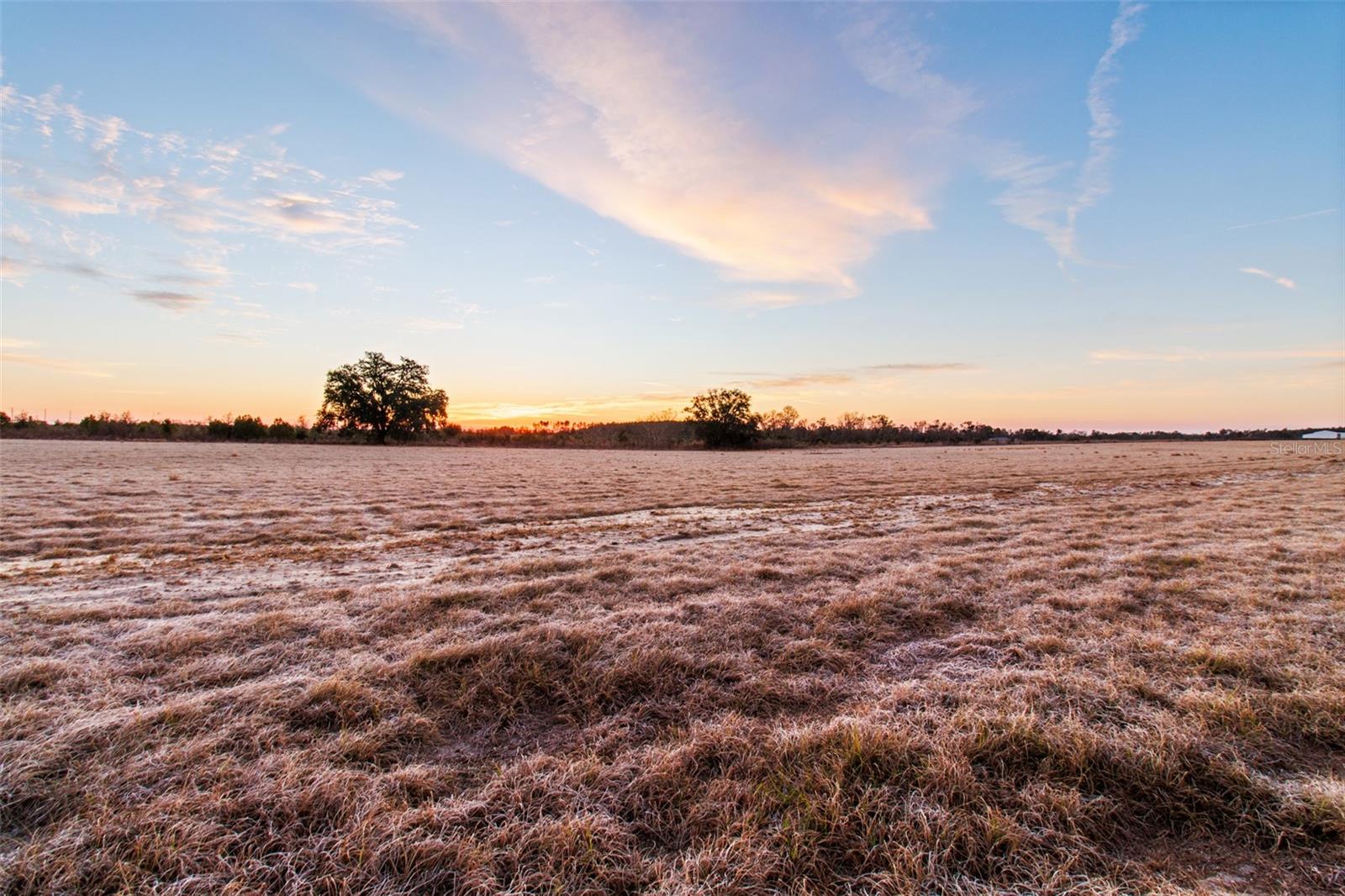 Image 7 of 16 For Royal Sky (lot 10) Court