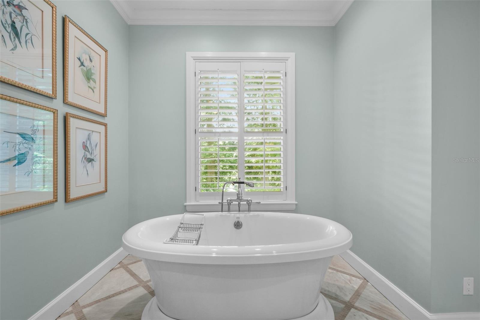 Image 27 of 80 For 16203 Villarreal De Avila