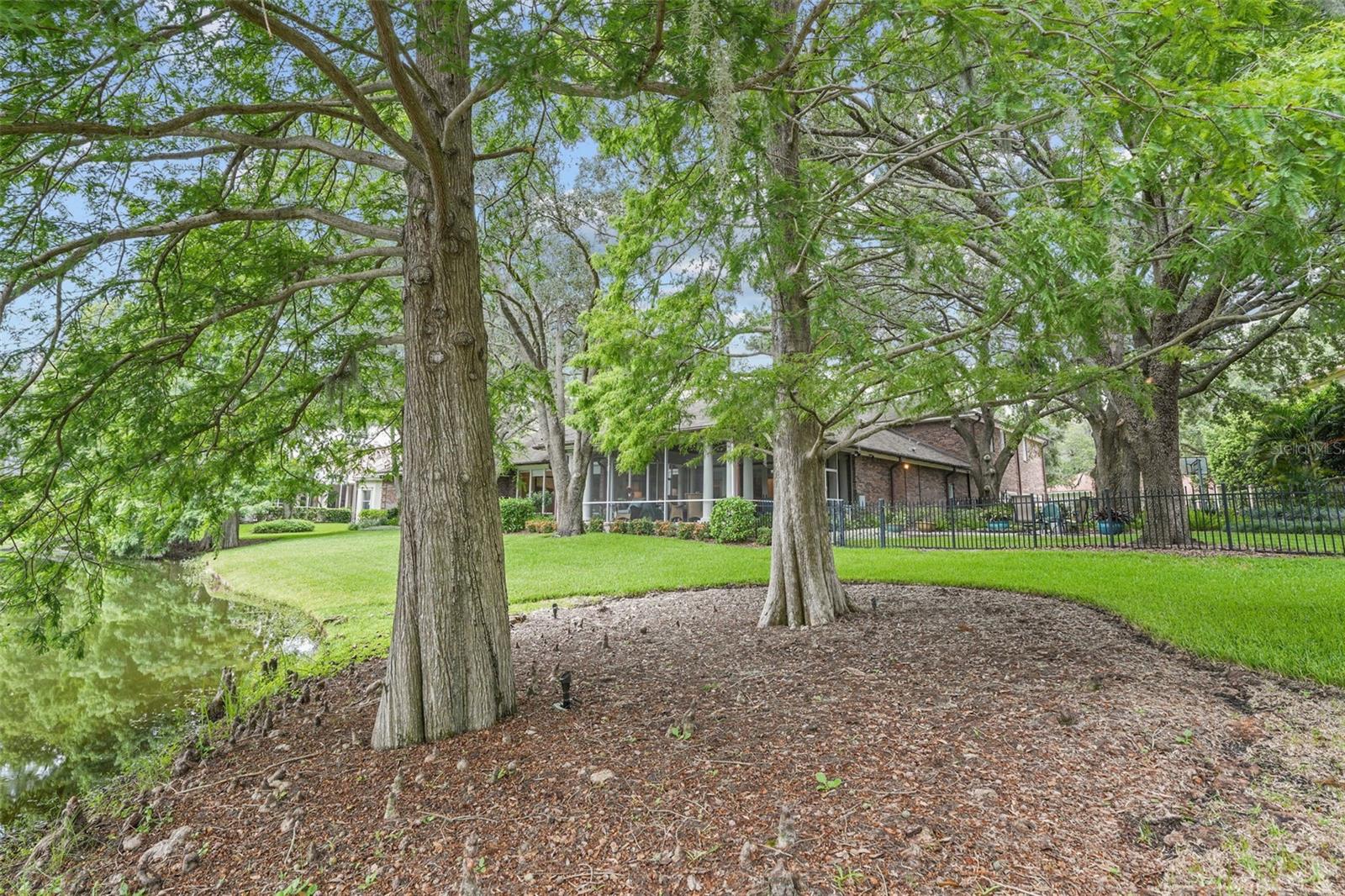 Image 72 of 80 For 16203 Villarreal De Avila