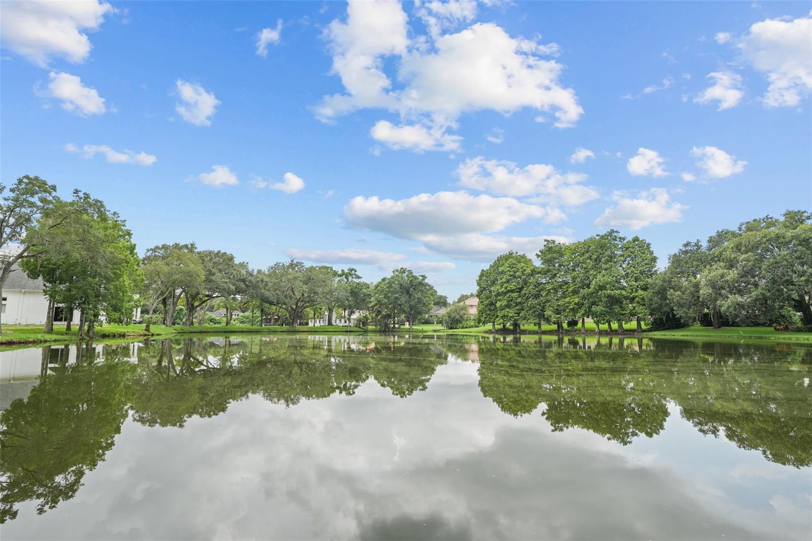 Image 73 of 80 For 16203 Villarreal De Avila