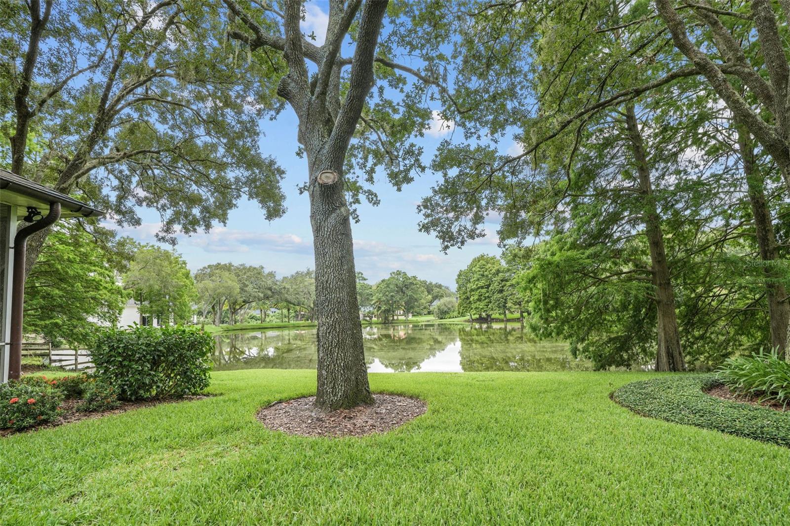 Image 75 of 80 For 16203 Villarreal De Avila