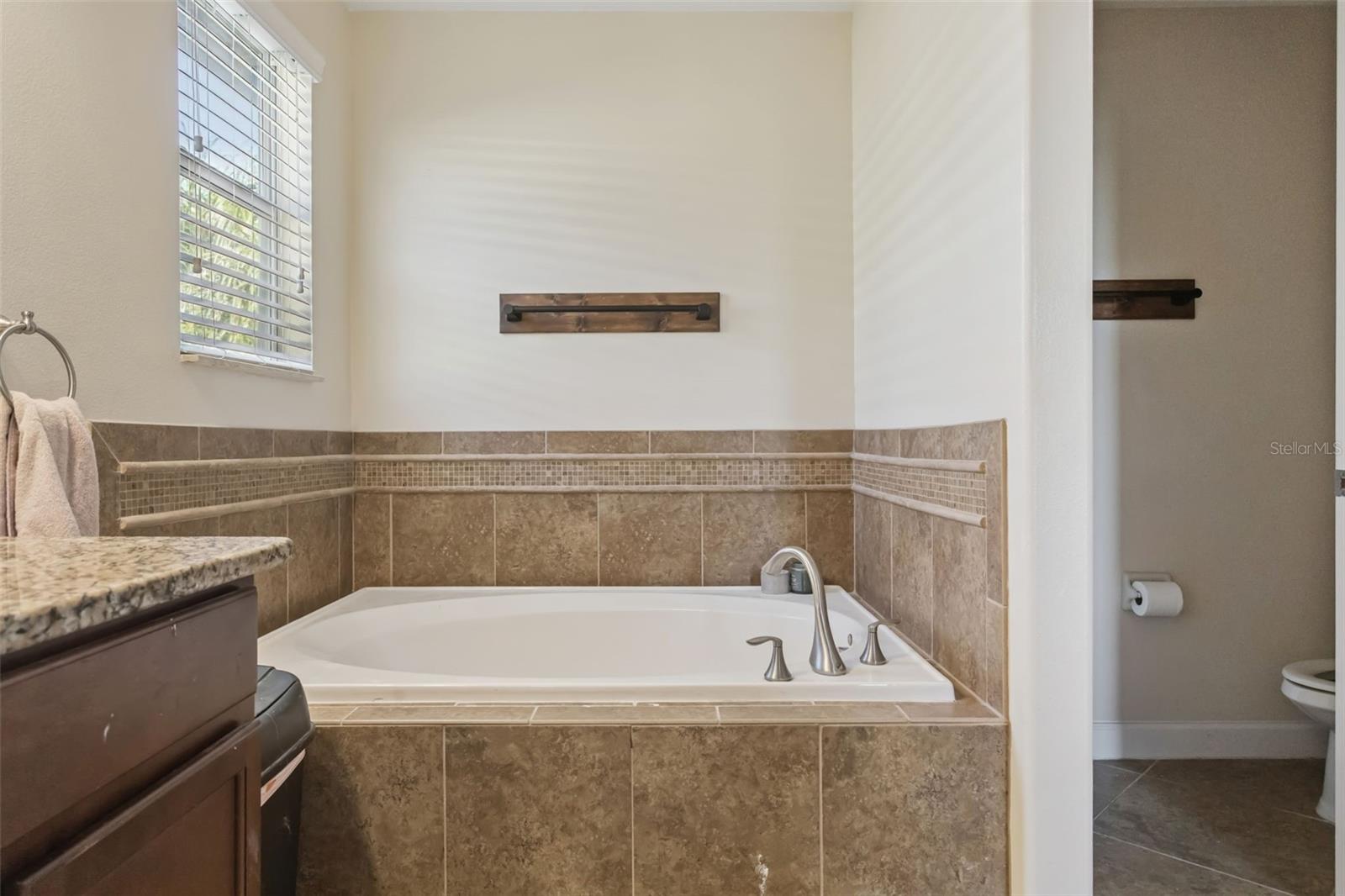 Image 34 of 53 For 11508 Mansfield Point Drive