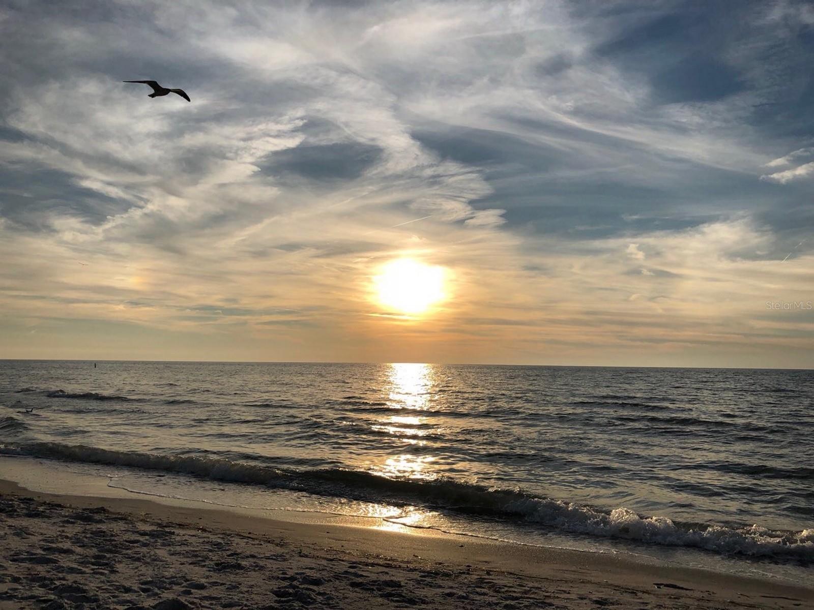 Image 13 of 46 For 100 Bluff View Drive 317a