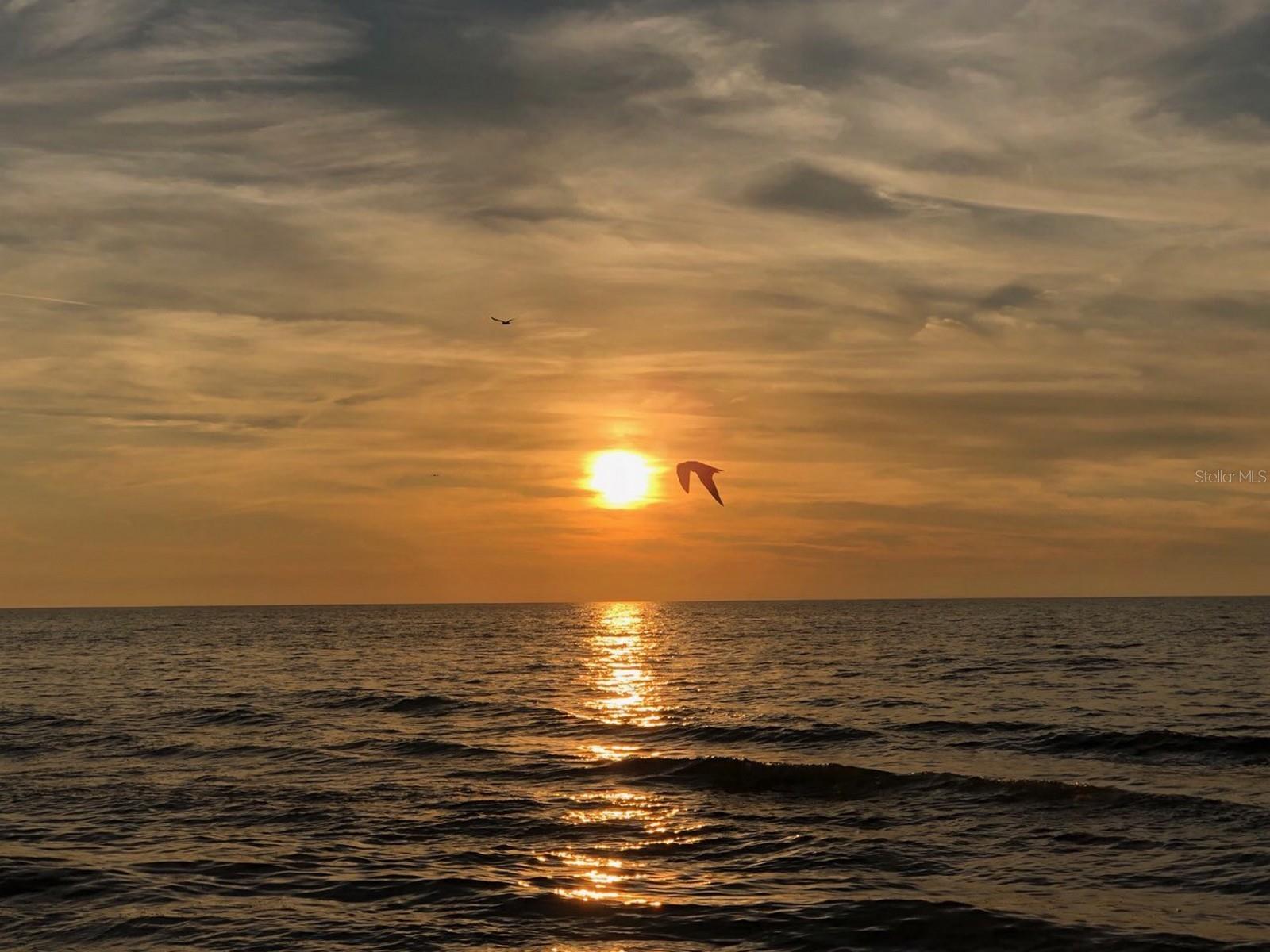 Image 27 of 46 For 100 Bluff View Drive 317a