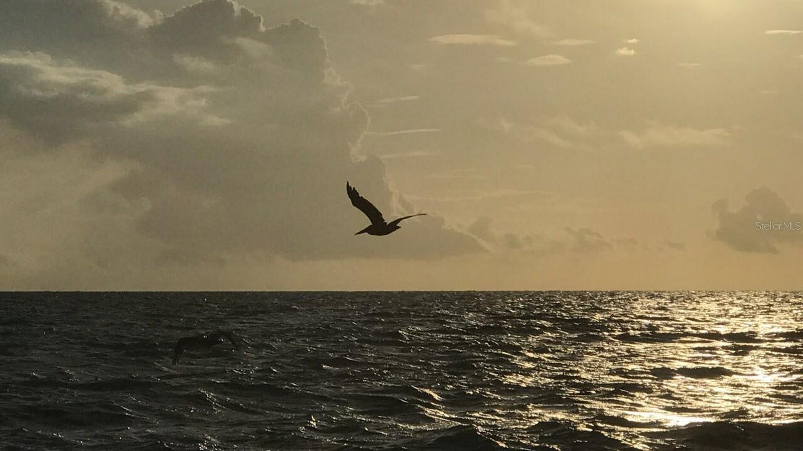 Image 36 of 46 For 100 Bluff View Drive 317a