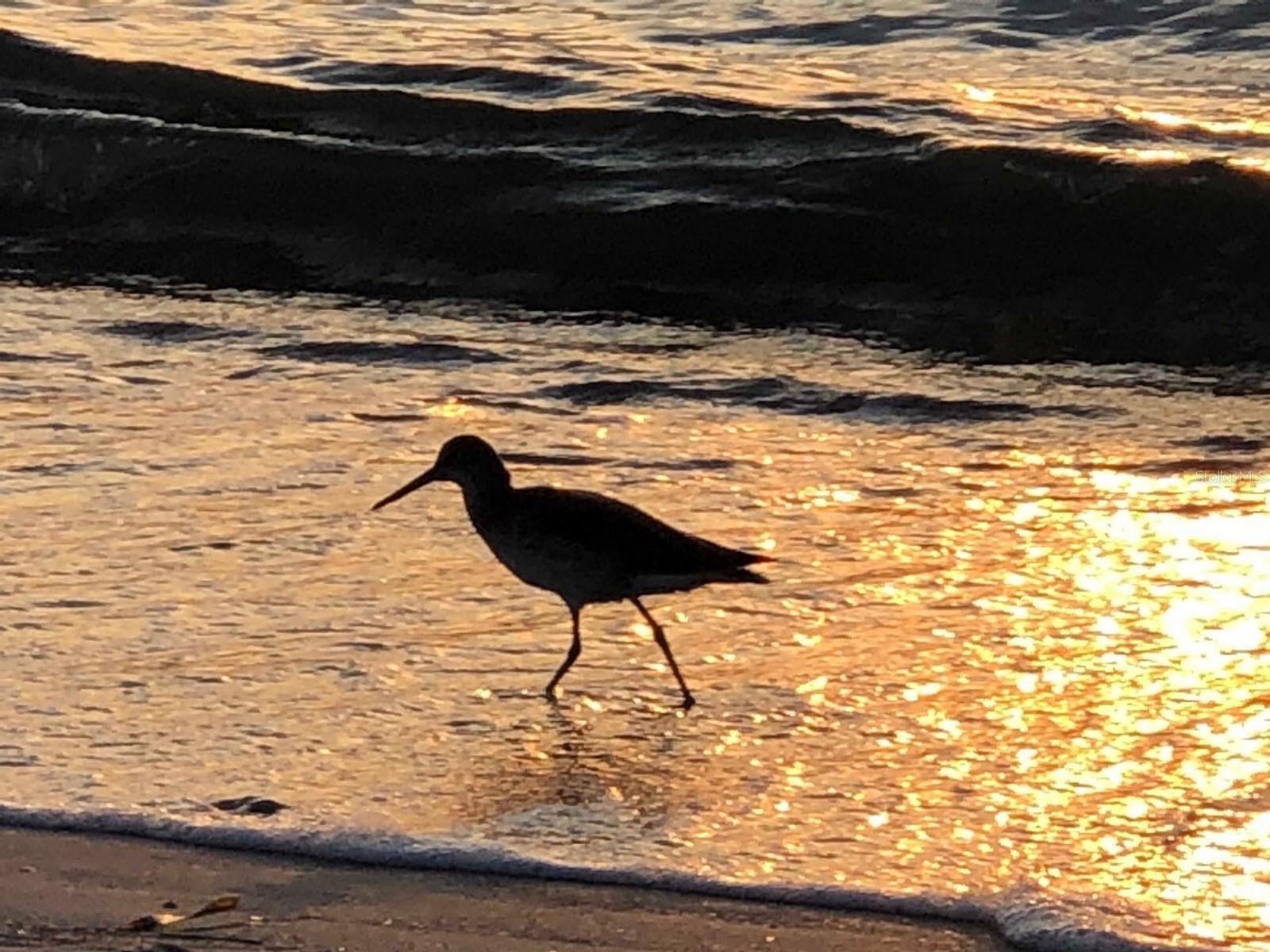 Image 37 of 46 For 100 Bluff View Drive 317a