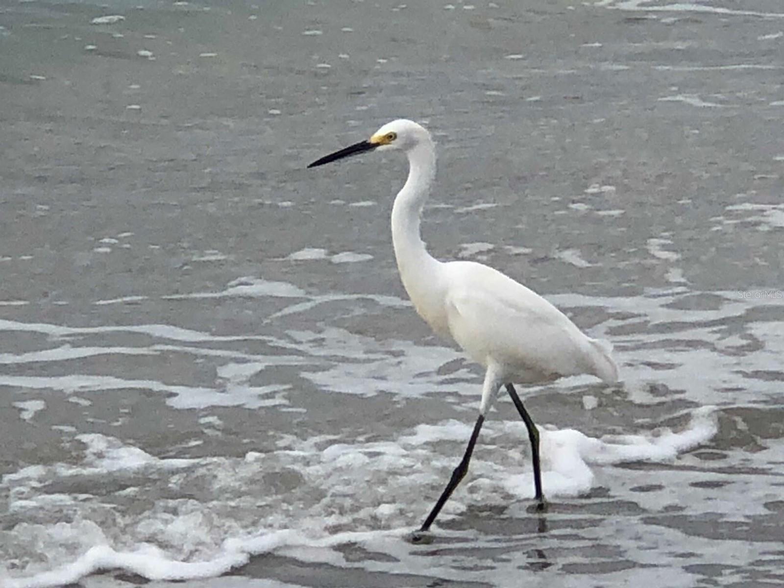 Image 38 of 46 For 100 Bluff View Drive 317a