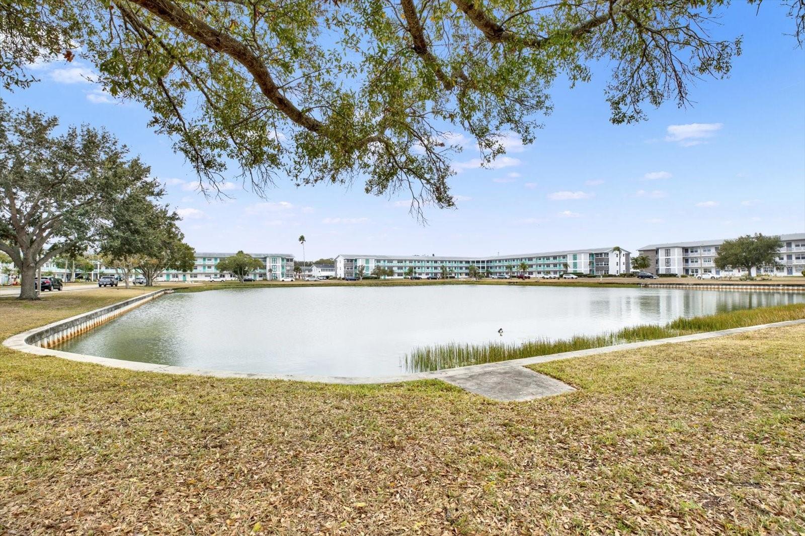 Listing photo id 13 for 6015 19th Street N 216