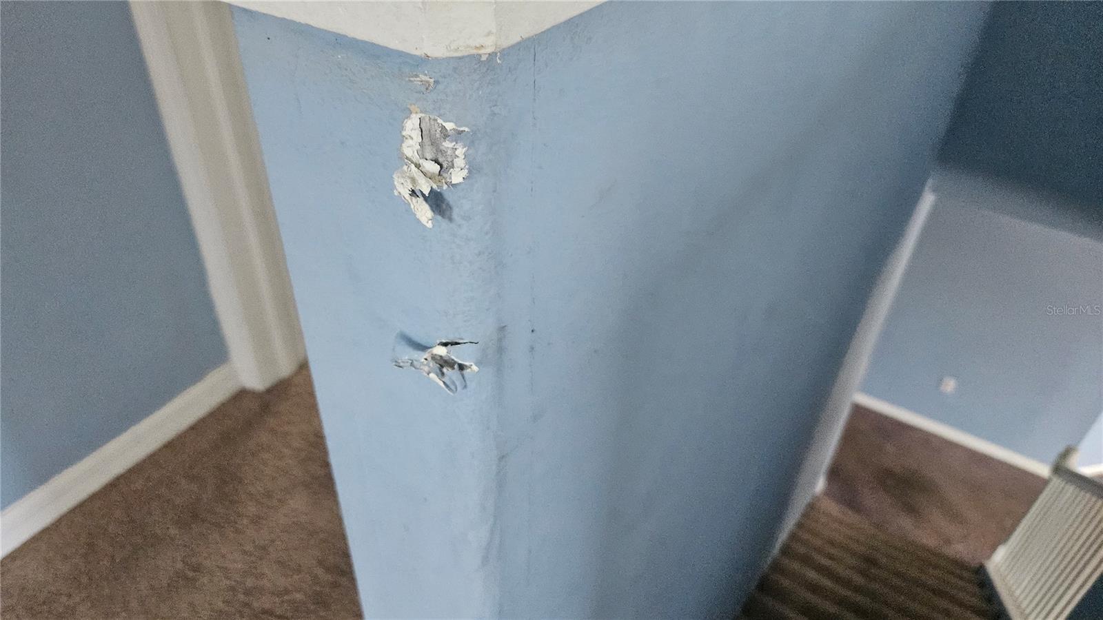 Image 40 of 42 For 6836 Aramon Court