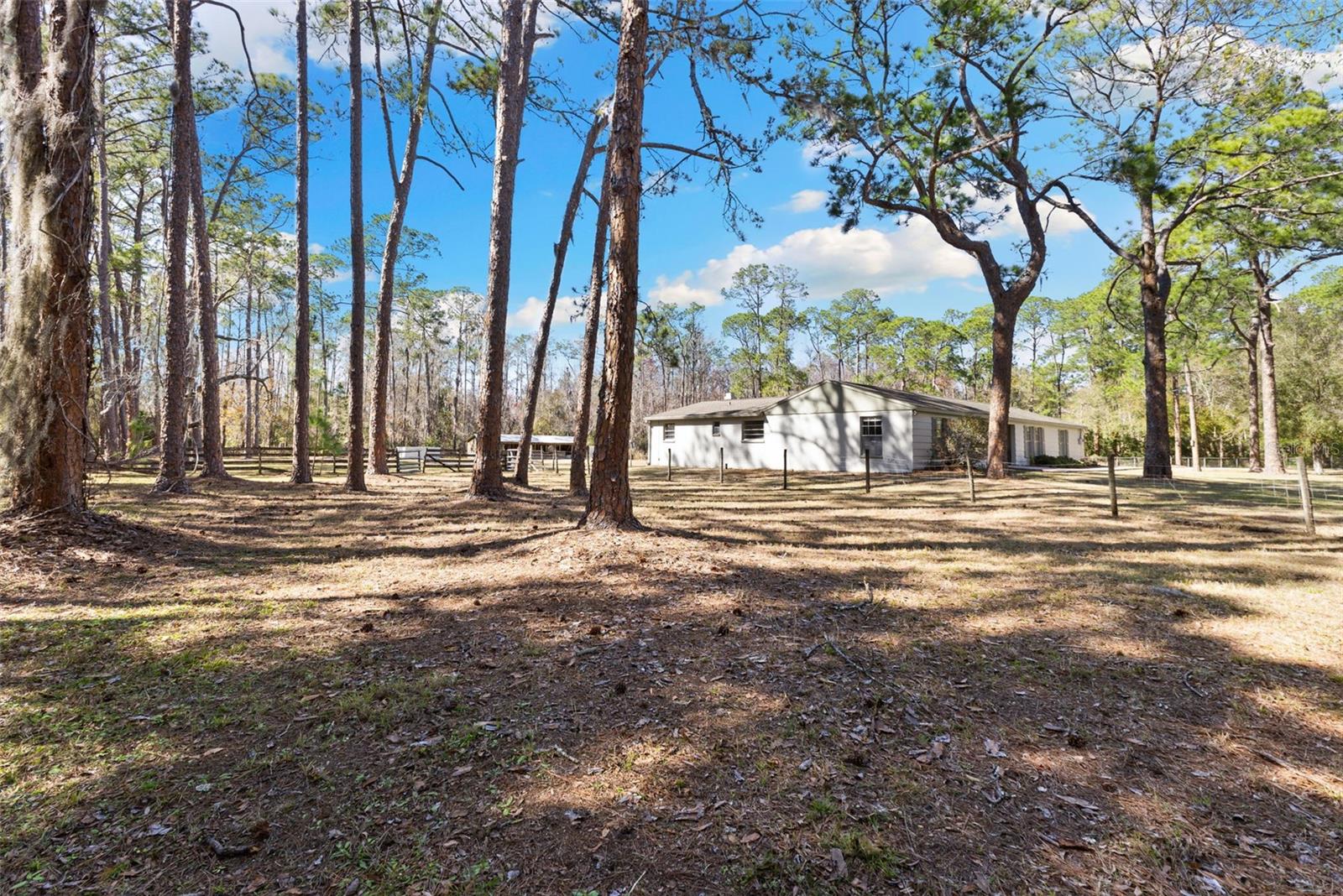 Listing photo id 42 for 1054 Ranch Road