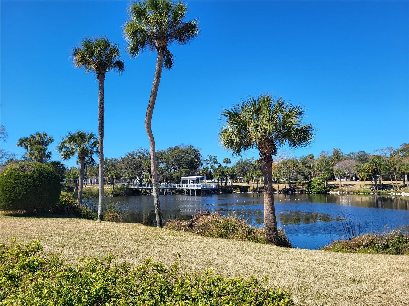 Image 22 of 27 For 7216 Whist Way