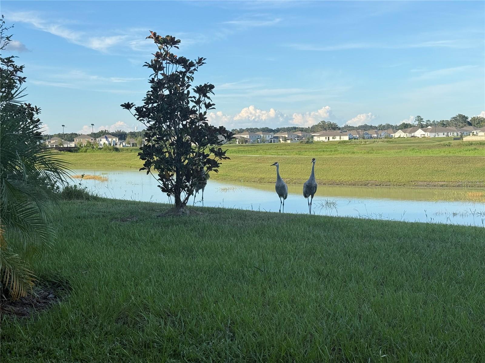 Image 39 of 44 For 10958 Rustic Timber Loop