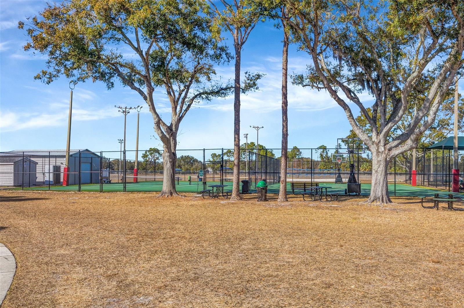 Image 28 of 29 For 13247 Dupree Hills Place