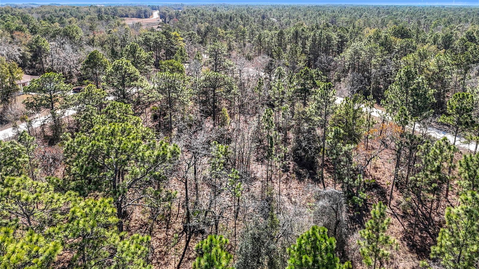 Image 14 of 23 For 16070 Sheldrake Loop