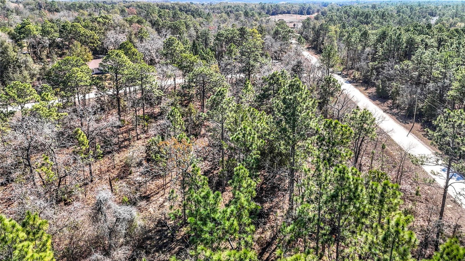 Image 15 of 23 For 16070 Sheldrake Loop