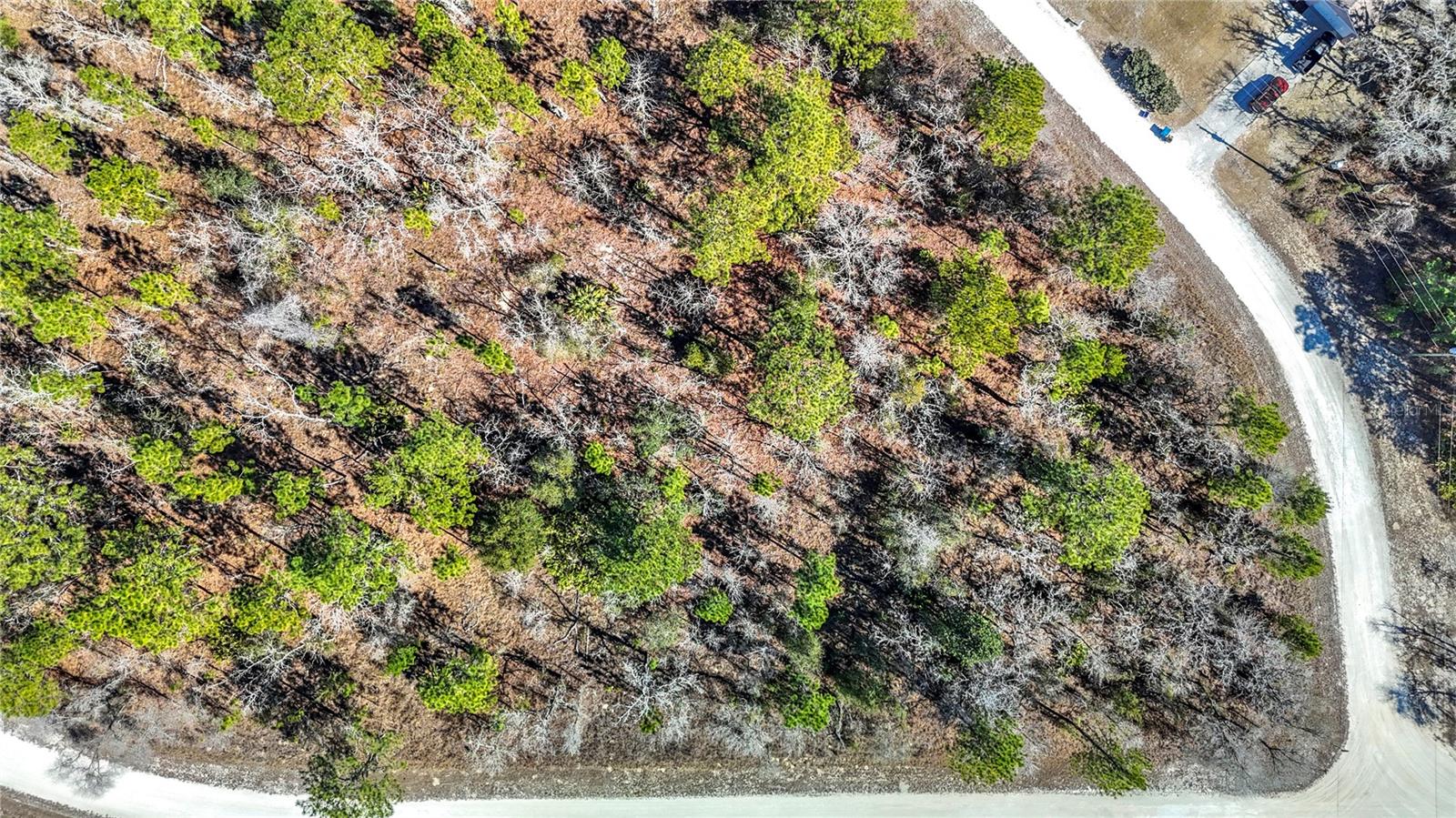 Image 17 of 23 For 16070 Sheldrake Loop