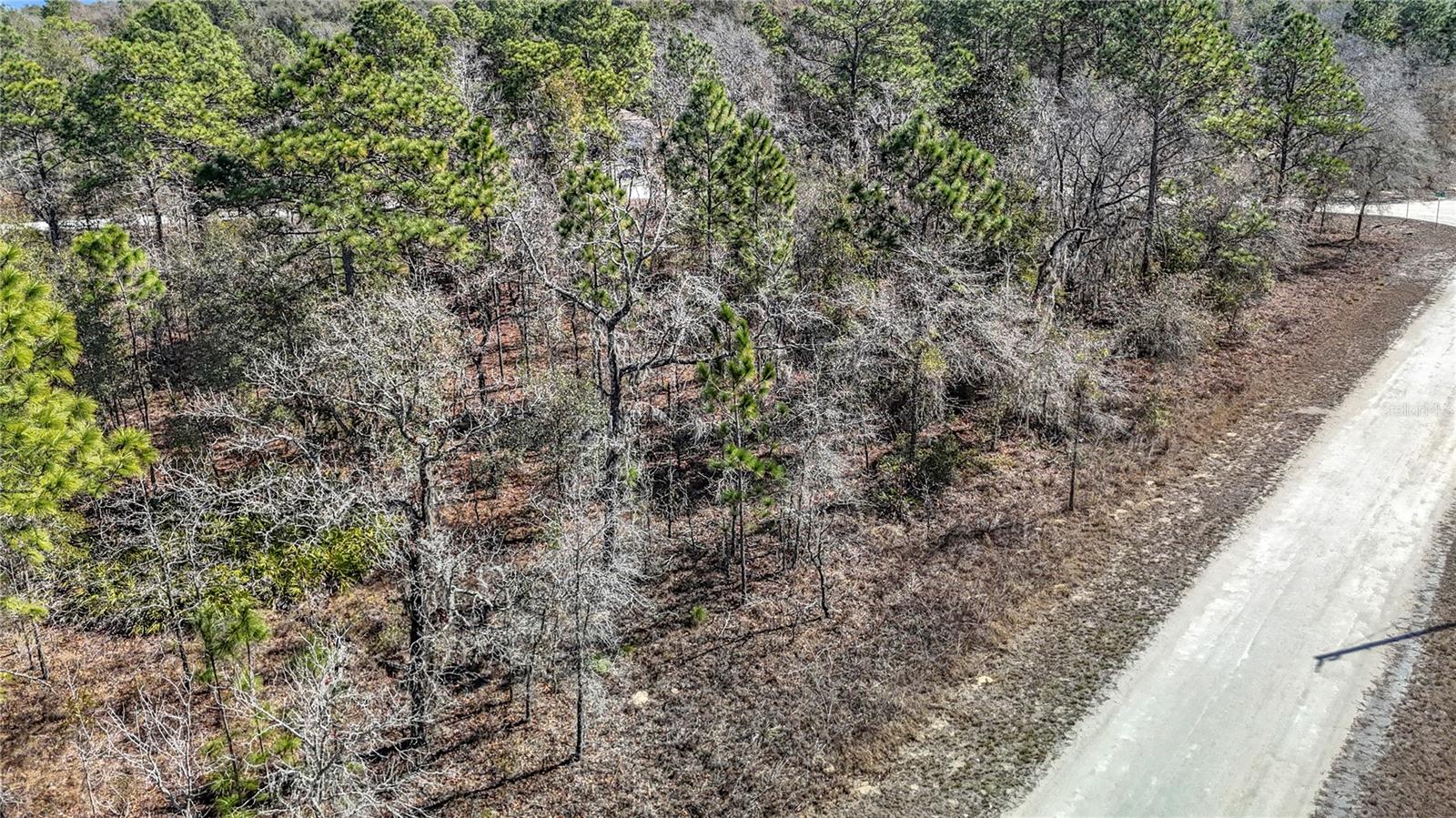 Image 3 of 23 For 16070 Sheldrake Loop