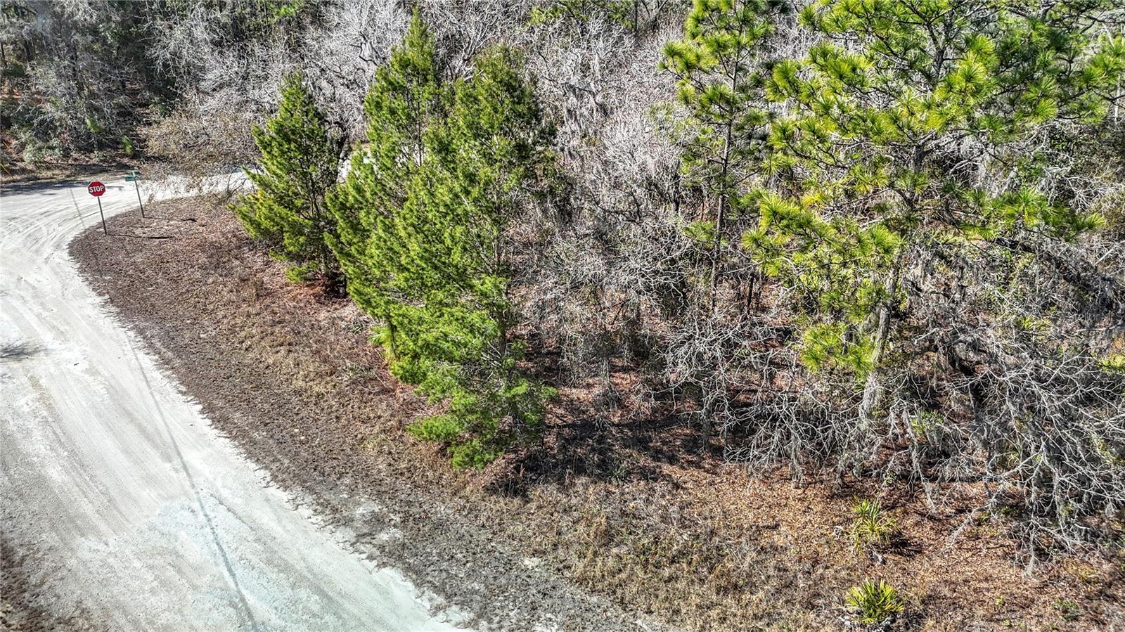 Image 8 of 23 For 16070 Sheldrake Loop