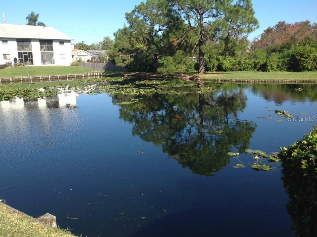 Image 32 of 44 For 11201 122nd Avenue L-232