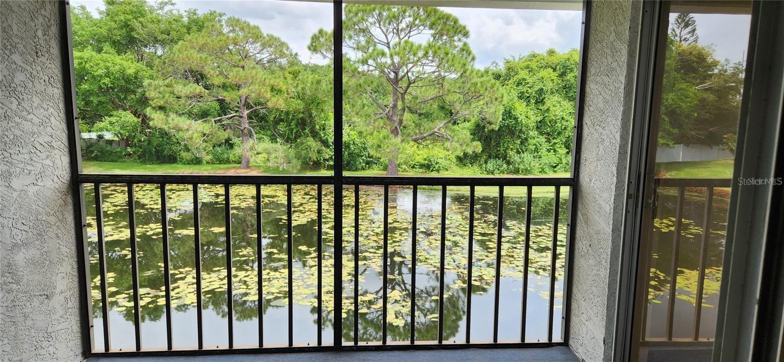 Image 35 of 44 For 11201 122nd Avenue L-232