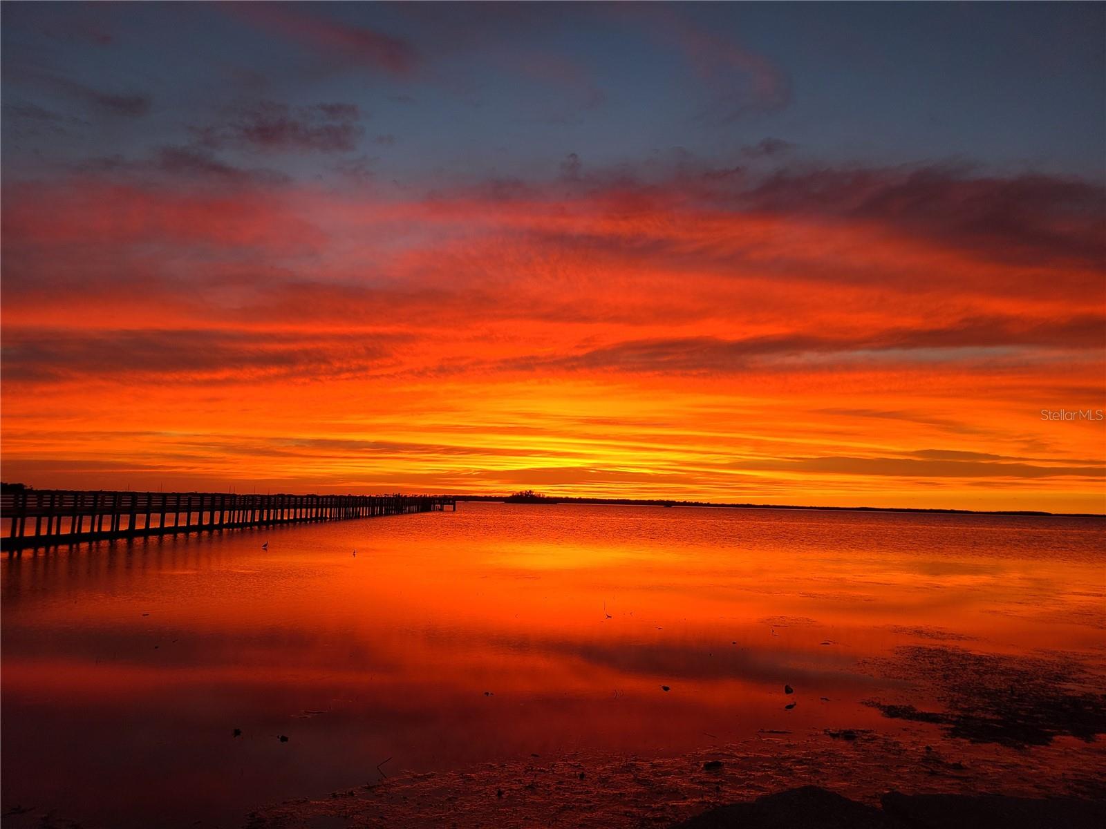 Image 30 of 30 For 710 Lyndhurst Street 223