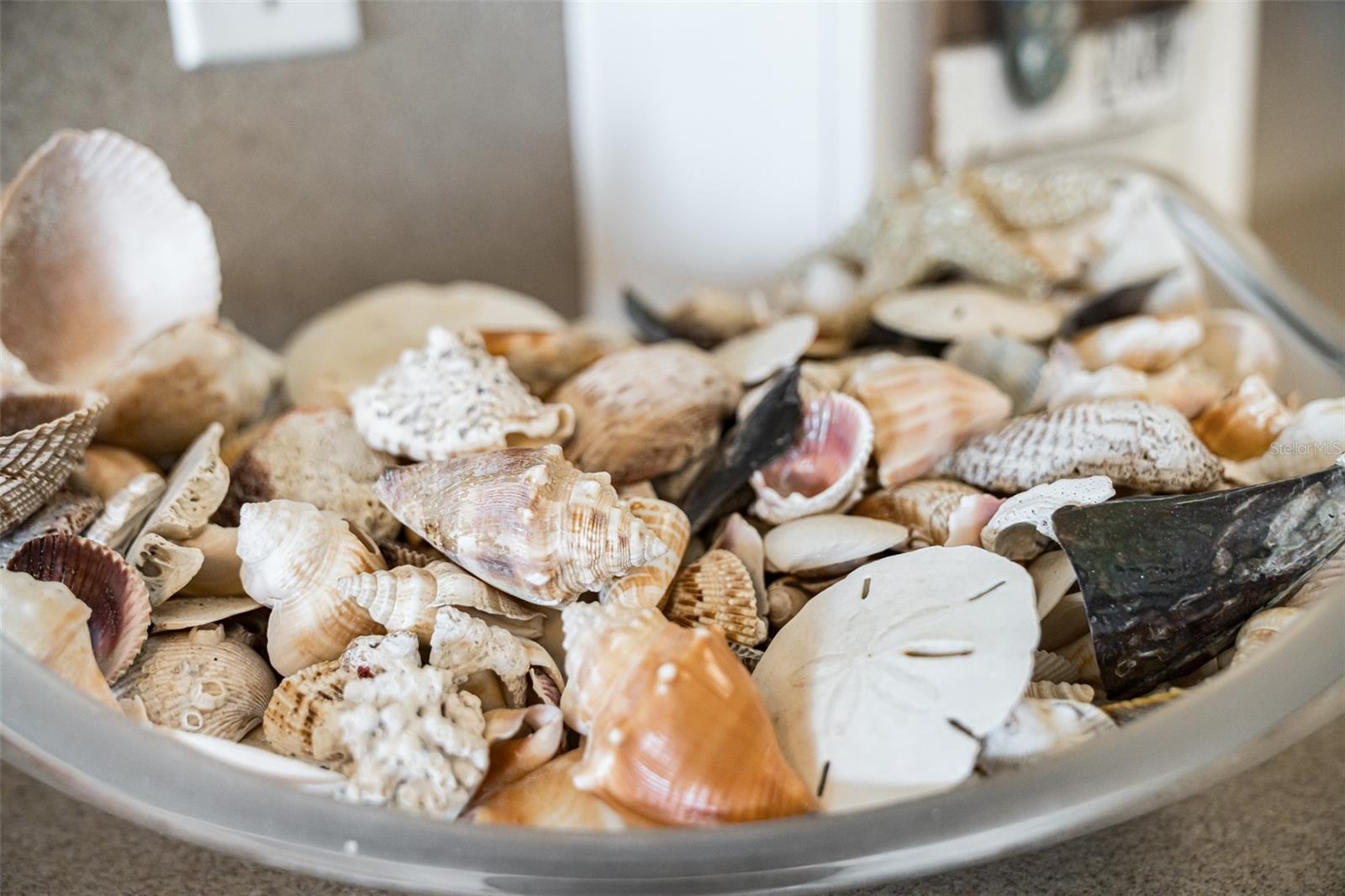 Image 42 of 53 For 60 Gulf Boulevard 203