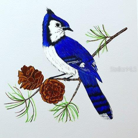 Image 31 of 31 For 105 Pinebark Drive