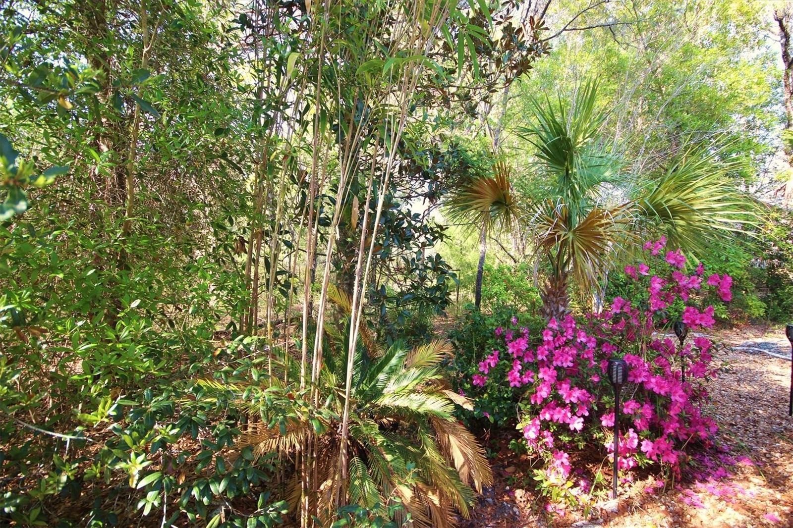 Image 28 of 61 For 14 Carnation Court