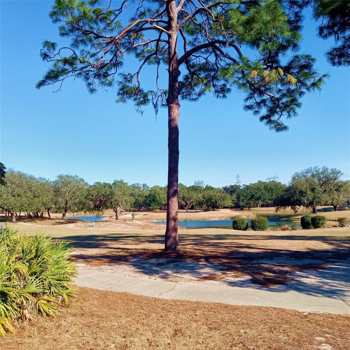 Image 54 of 61 For 14 Carnation Court