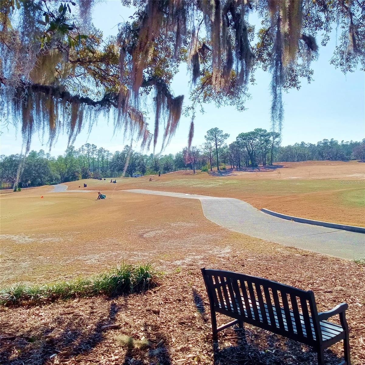 Image 55 of 61 For 14 Carnation Court