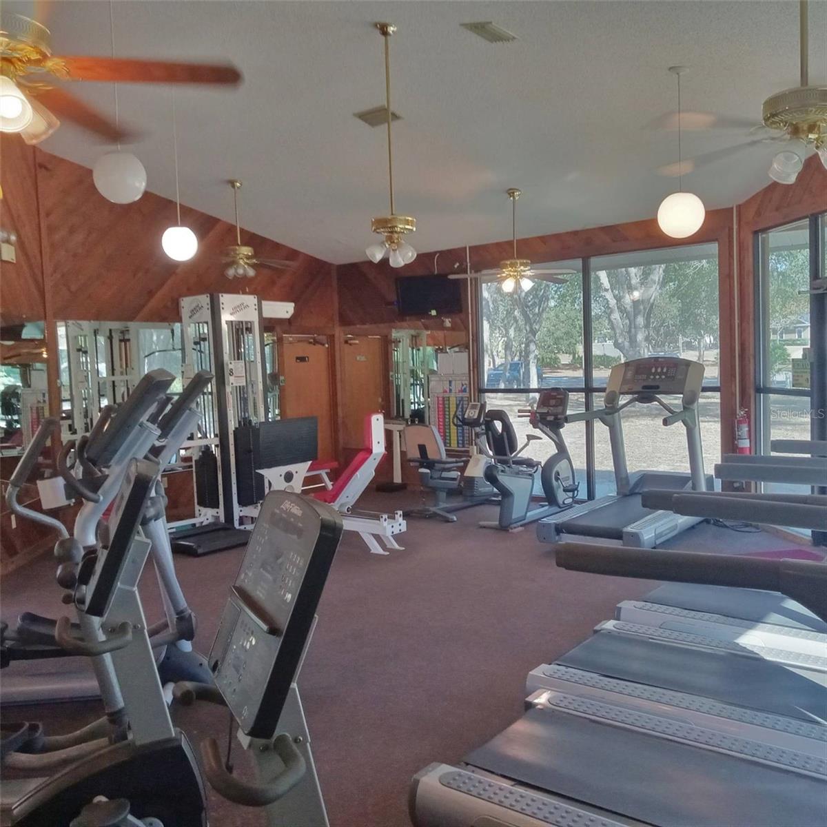 Image 58 of 61 For 14 Carnation Court