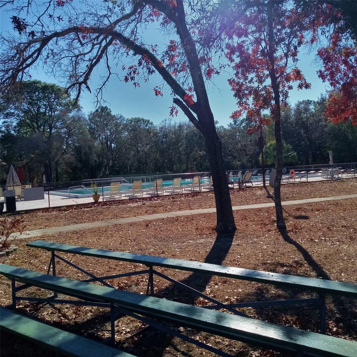 Image 59 of 61 For 14 Carnation Court