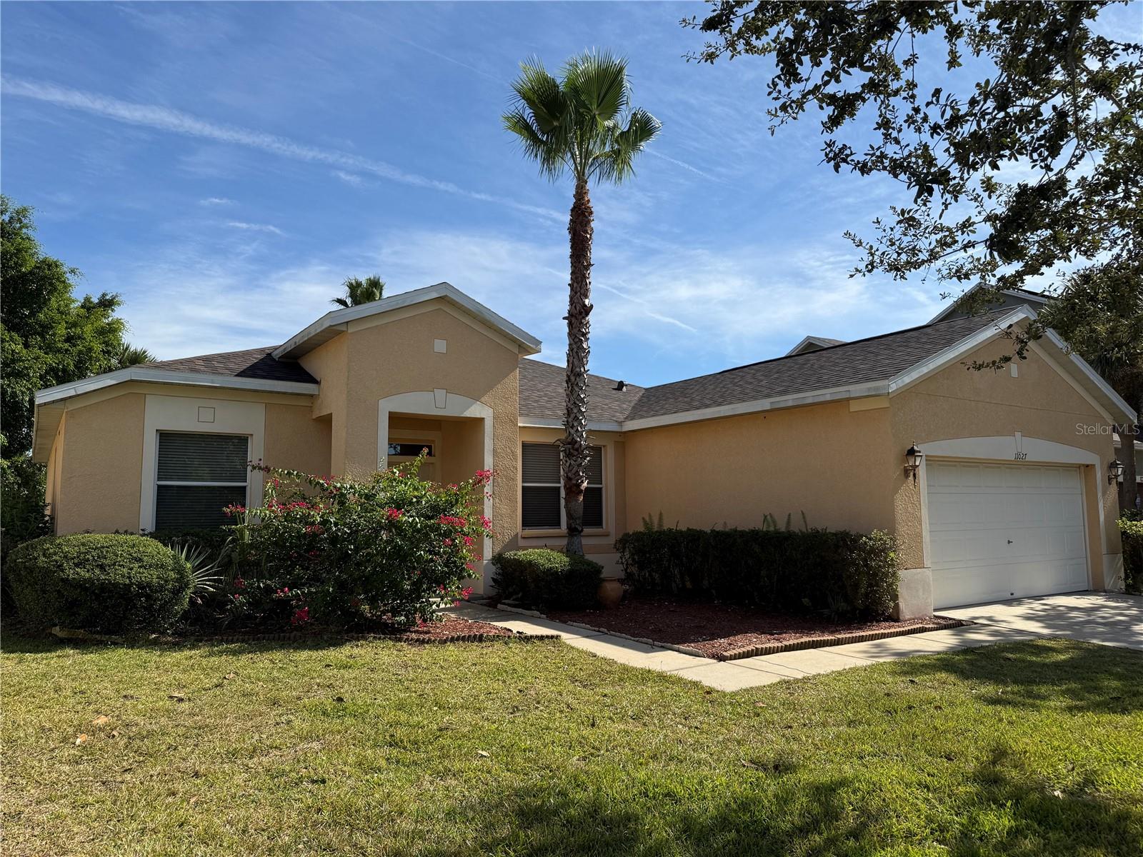 Details for 11027 Holly Cone Drive, RIVERVIEW, FL 33569