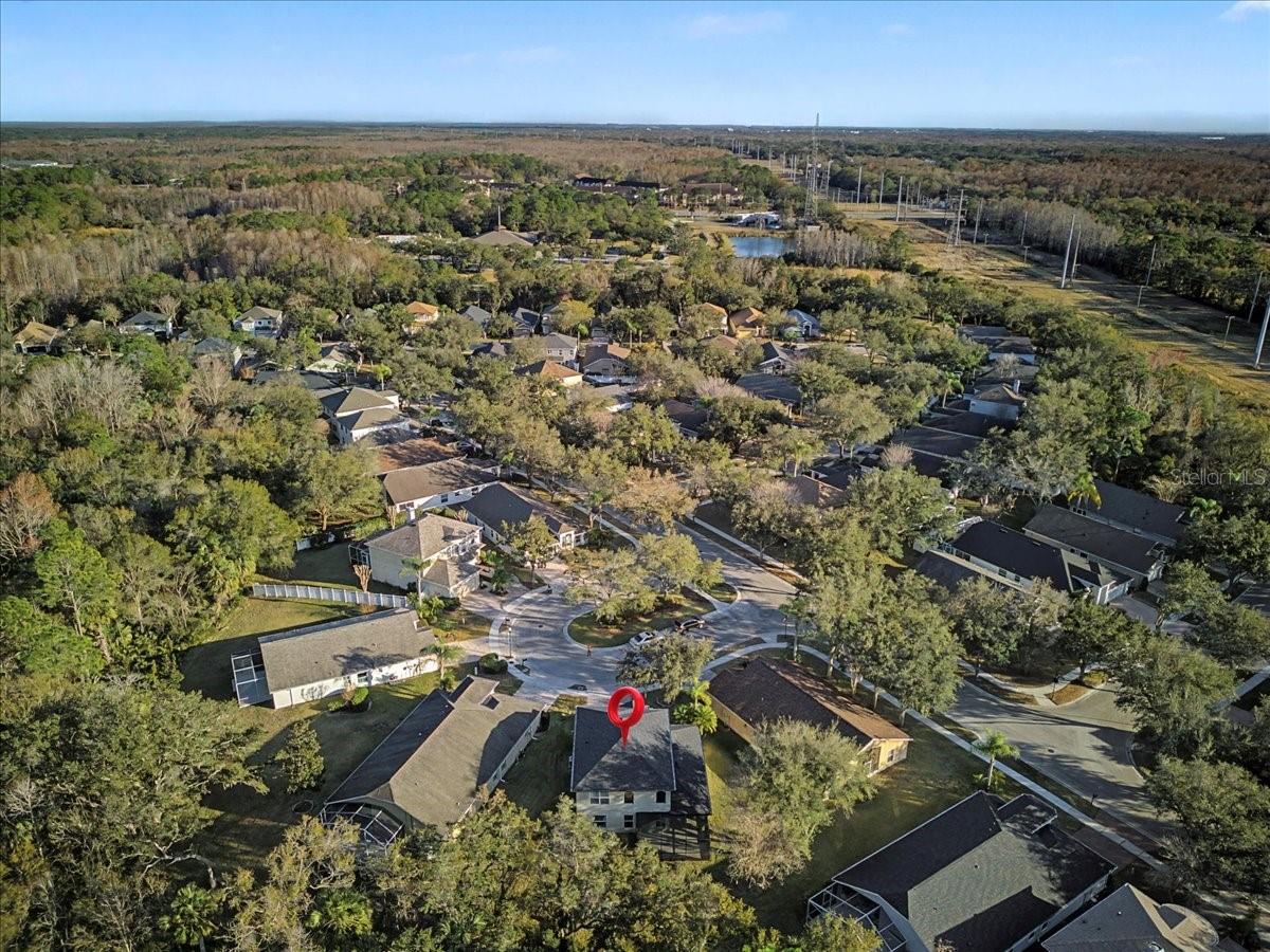 Listing photo id 58 for 16204 Hampton Trace Court